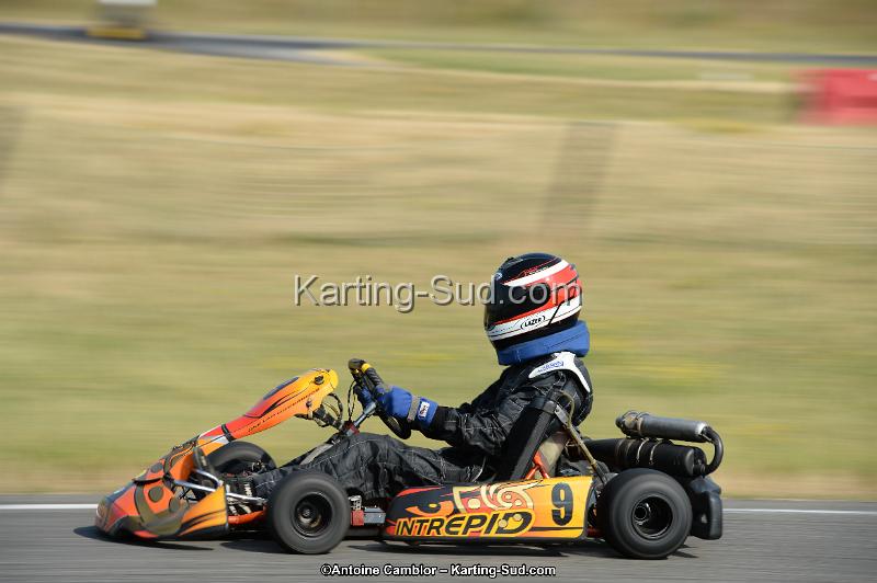 DSC_8677.jpg