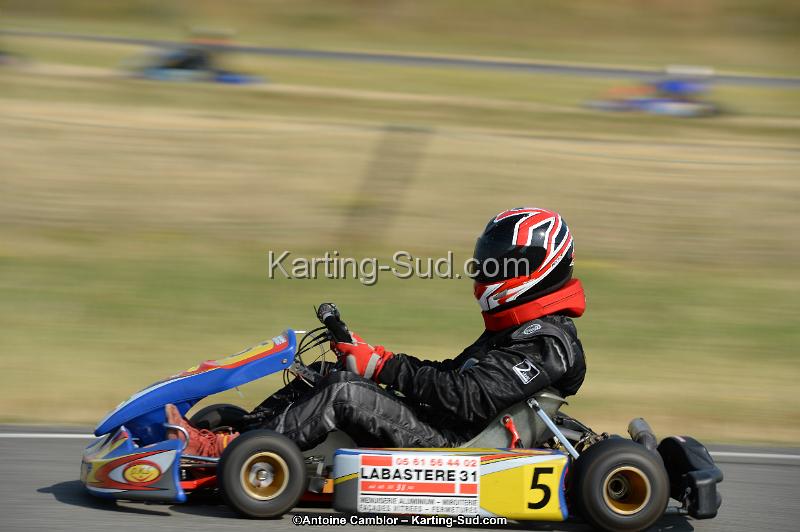 DSC_8682.jpg