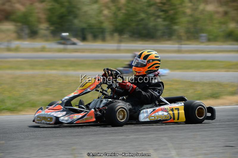 DSC_8930.jpg
