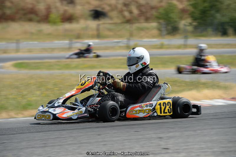 DSC_8941.jpg