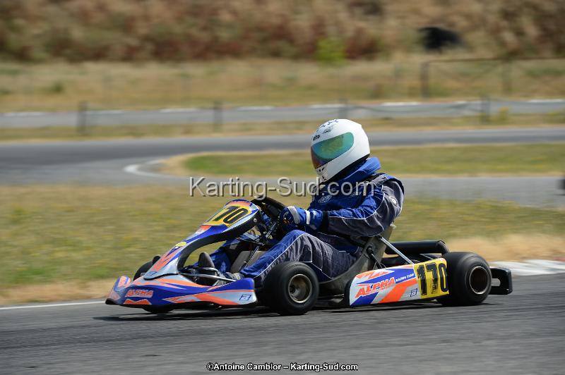 DSC_8950.jpg