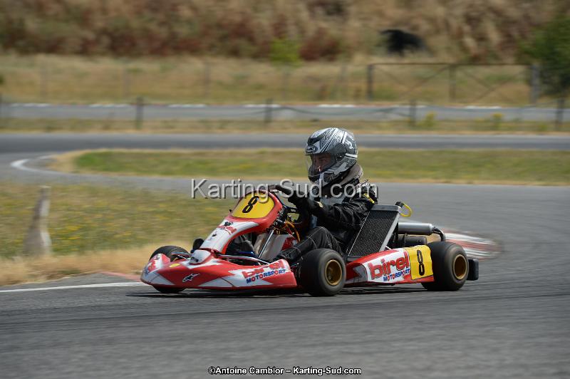 DSC_8954.jpg