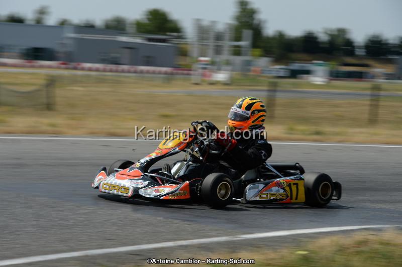 DSC_8988.jpg