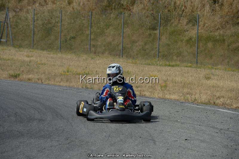 DSC_9013.jpg