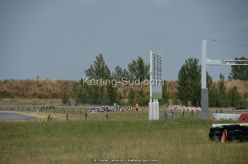 DSC_9262.jpg