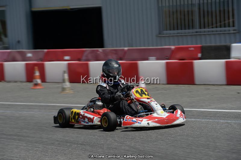DSC_9308.jpg