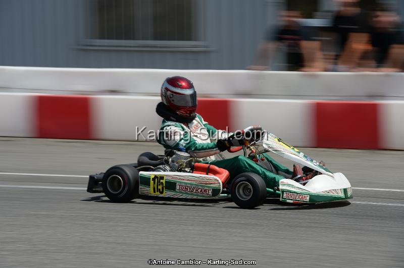 DSC_9329.jpg