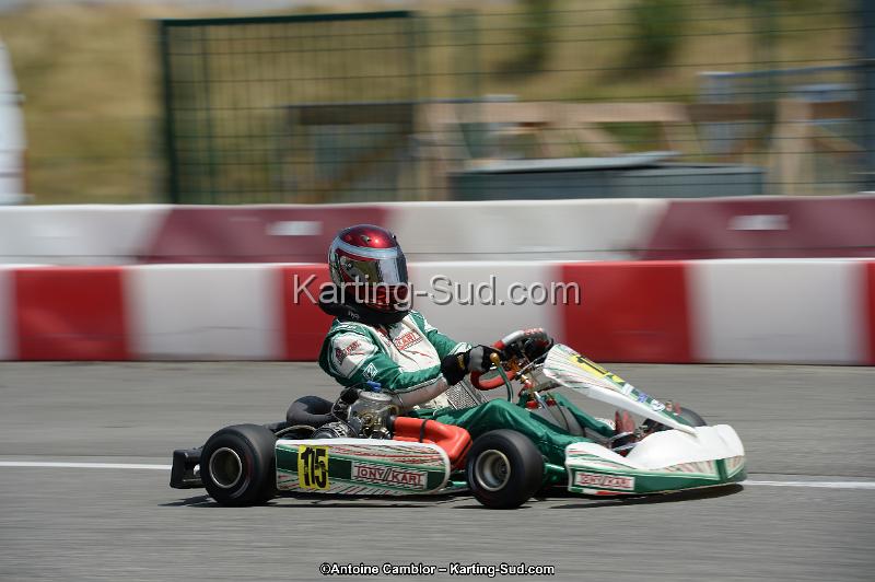 DSC_9338.jpg