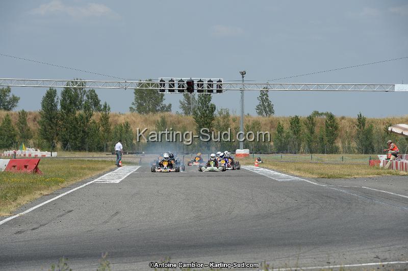 DSC_9518.jpg