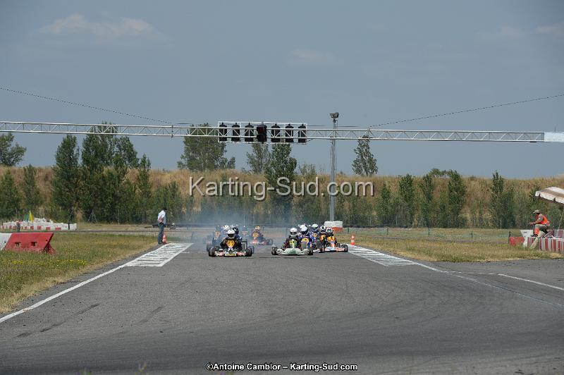 DSC_9519.jpg