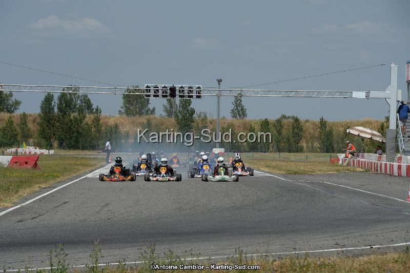 DSC_9521.jpg