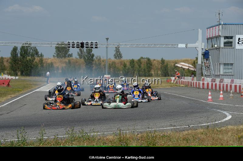DSC_9523.jpg
