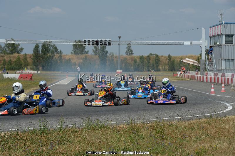 DSC_9528.jpg