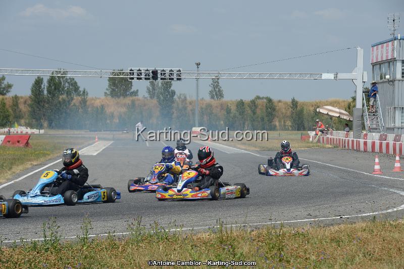 DSC_9531.jpg