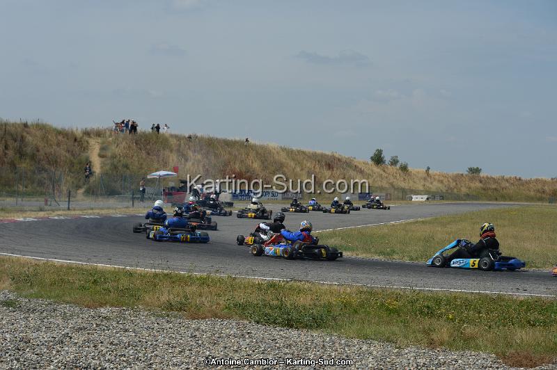DSC_9532.jpg