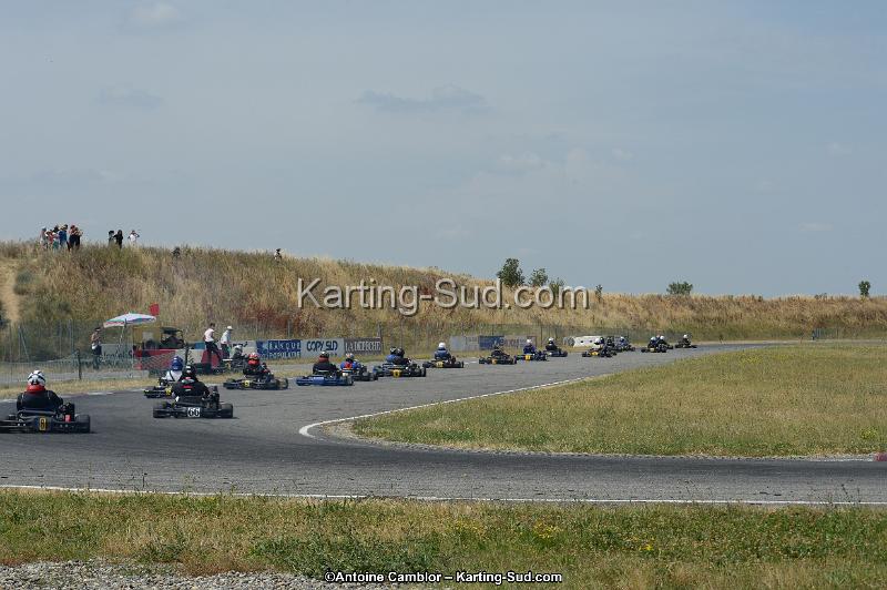 DSC_9534.jpg