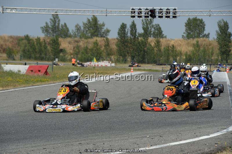 DSC_9537.jpg
