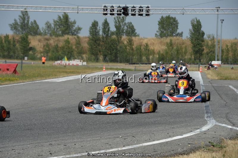 DSC_9539.jpg