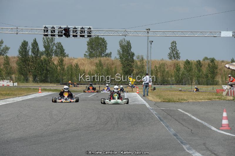 DSC_9548.jpg