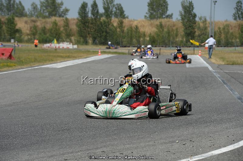 DSC_9549.jpg