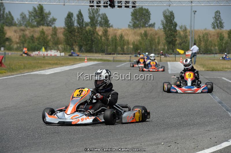 DSC_9552.jpg
