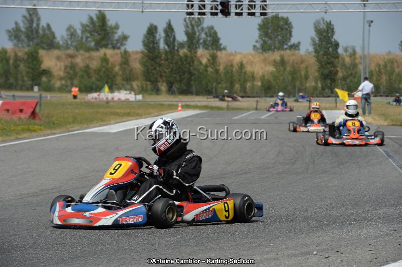 DSC_9553.jpg
