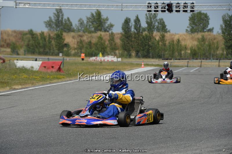 DSC_9559.jpg