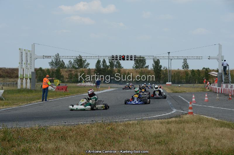 DSC_9654.jpg