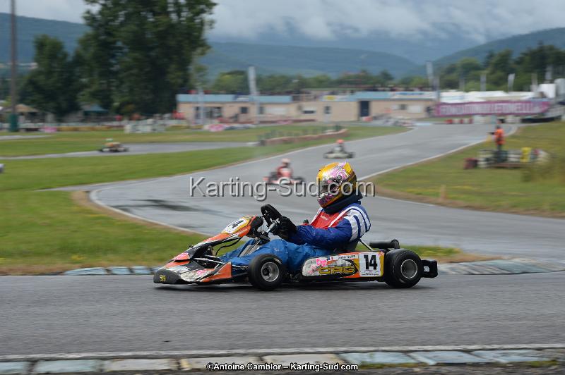 DSC_4135.jpg