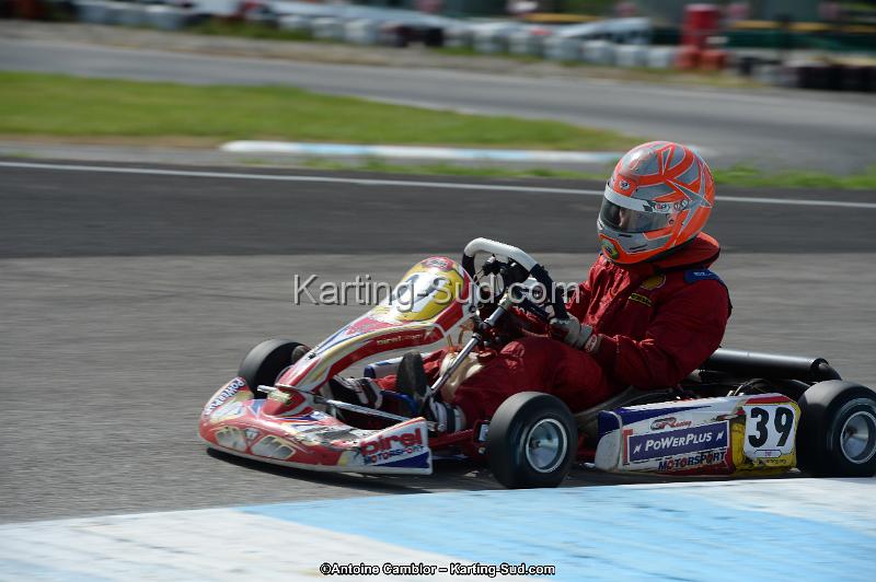 DSC_7617.jpg