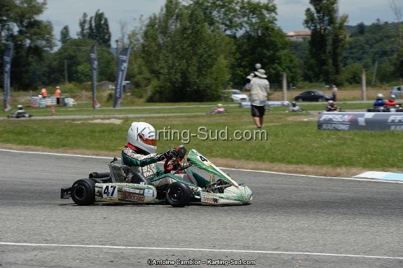 DSC_8390.jpg