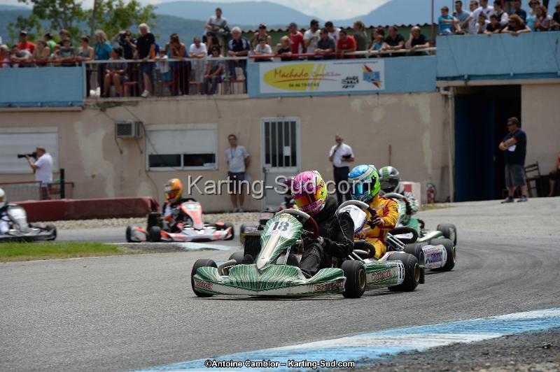 DSC_8652.jpg