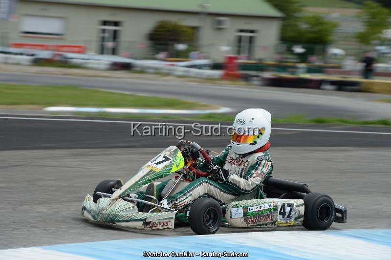 DSC_9119.jpg