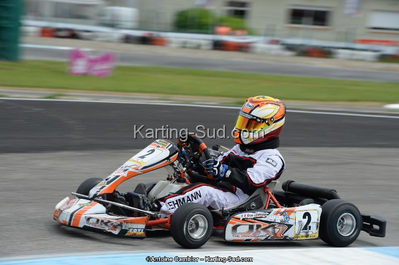 DSC_9131.jpg