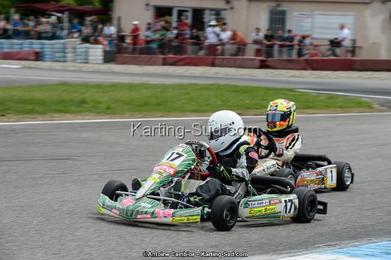 DSC_9174.jpg