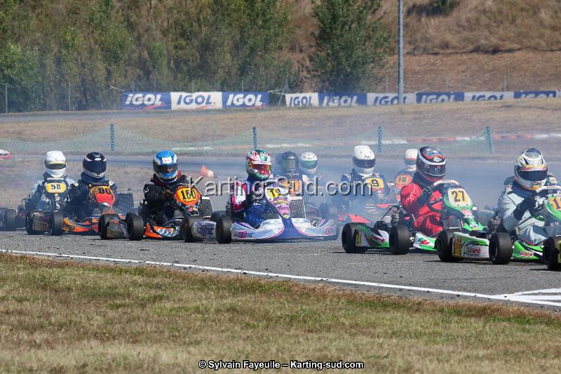 IMG_7337.JPG