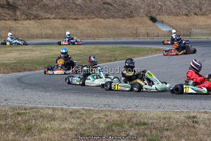 IMG_7379.JPG