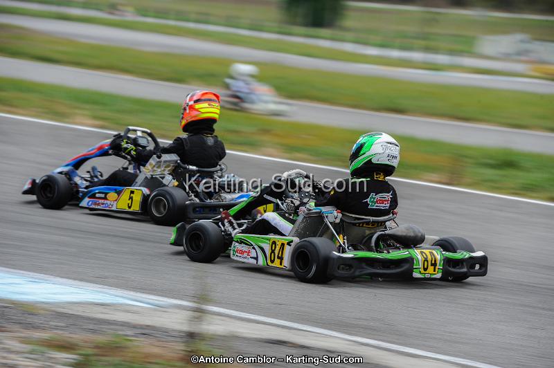 DSC_2919.jpg