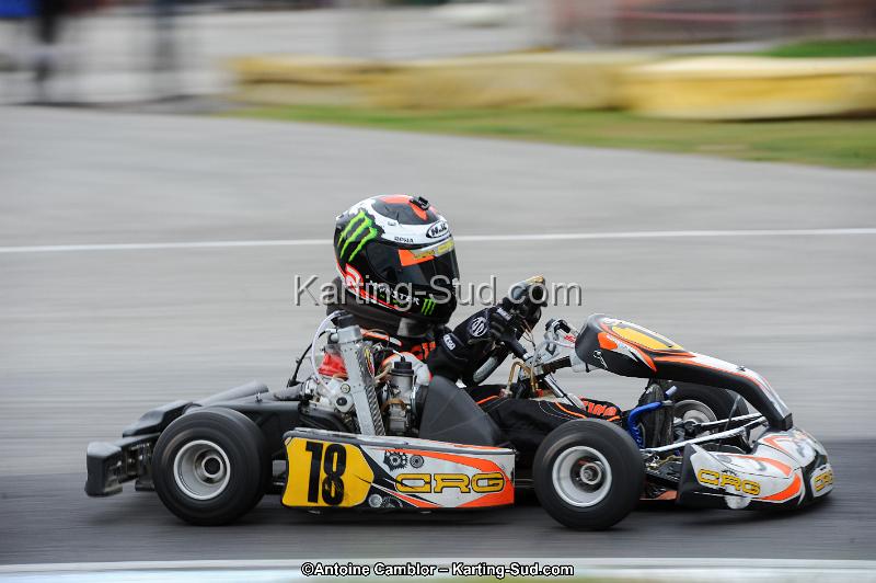 DSC_3013.jpg