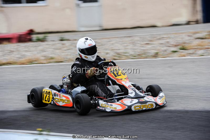 DSC_3130.jpg