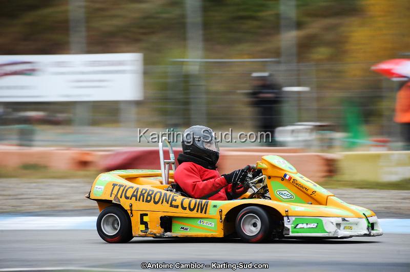 DSC_3677.jpg
