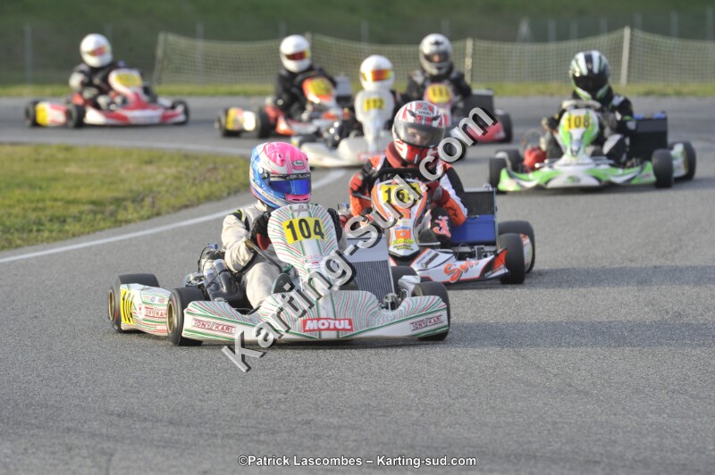 _DSC0253.JPG