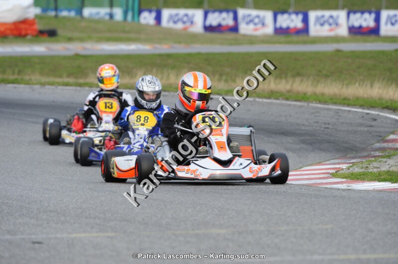 _DSC1743.JPG