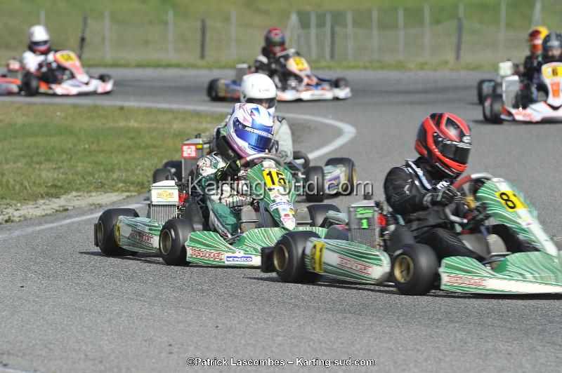_DSC9382.JPG