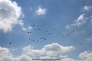 IMG_1319