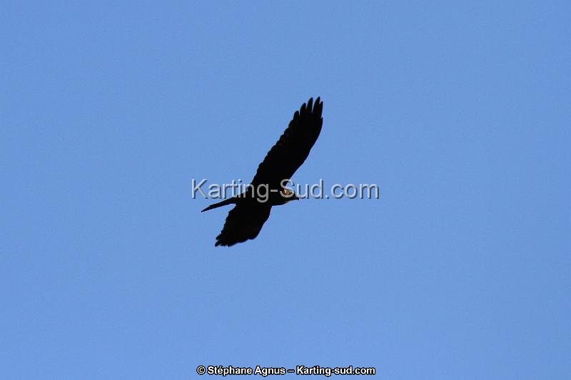 IMG_4031.JPG