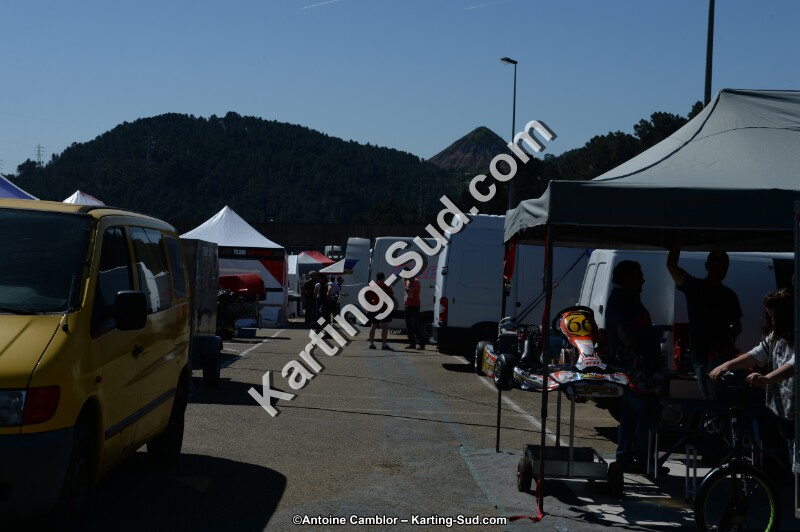 DSC_0123.jpg