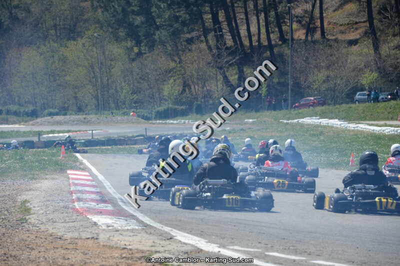 DSC_0181.jpg