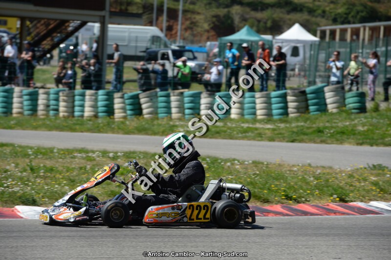DSC_0186.jpg