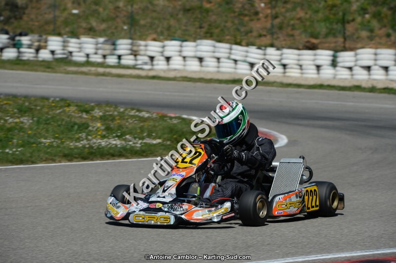 DSC_0225.jpg